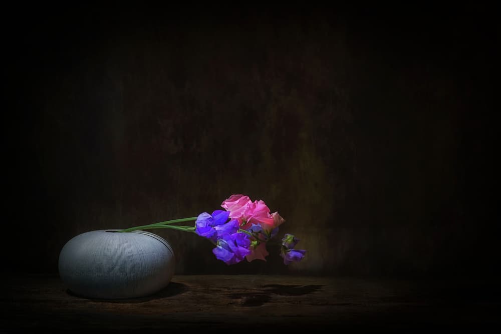 Vibrant Sweet Pea Still Life by Saskia Dingemans — canvas wall art