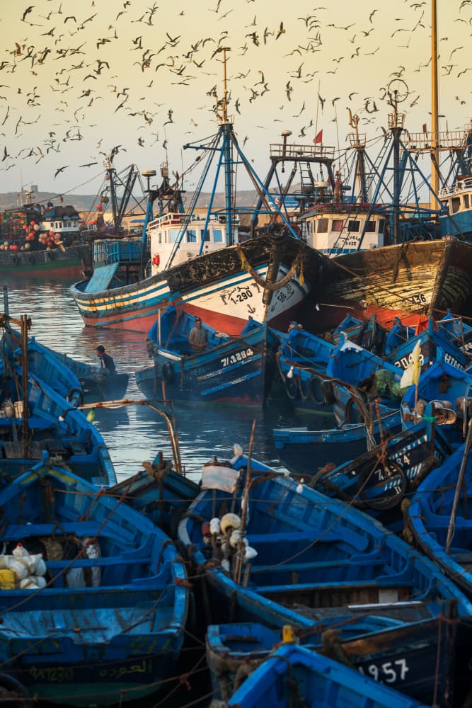 Essaouira Blue Fishing Harbor by Dan Mirica — canvas wall art