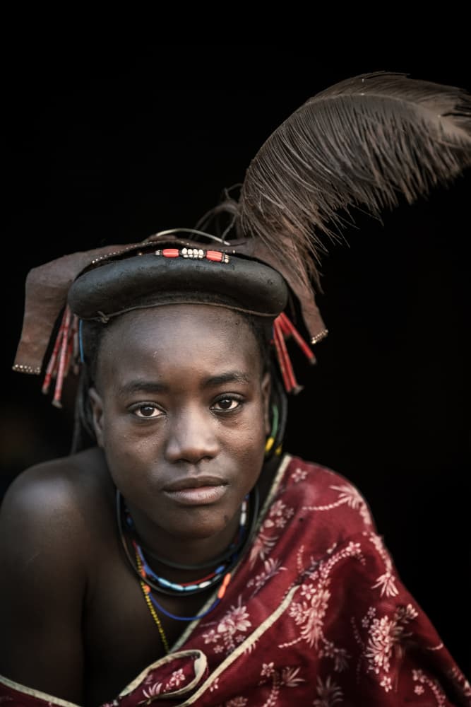 Traditional Feathered Gaze by Trevor Cole — canvas wall art