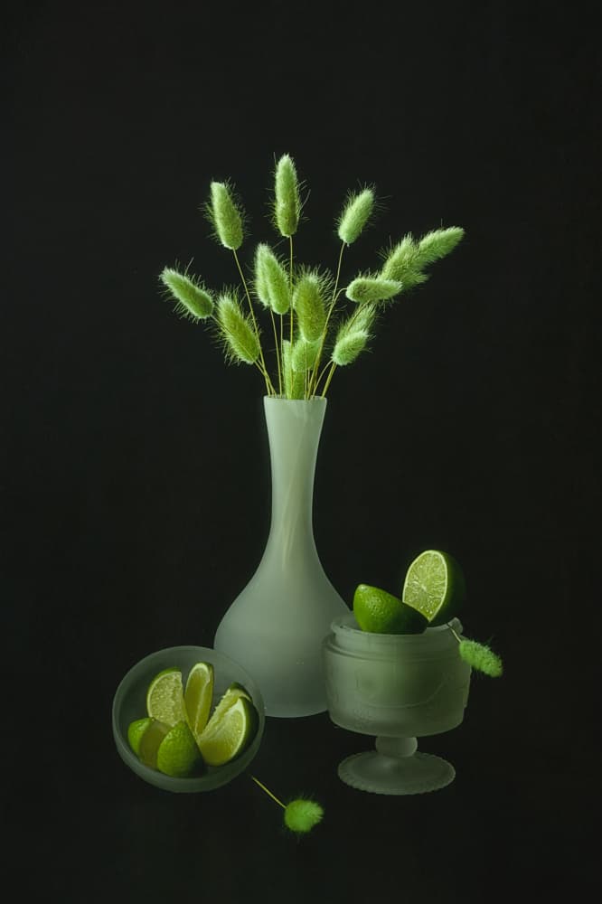 Green Botanicals And Limes by Lydia Jacobs — canvas wall art