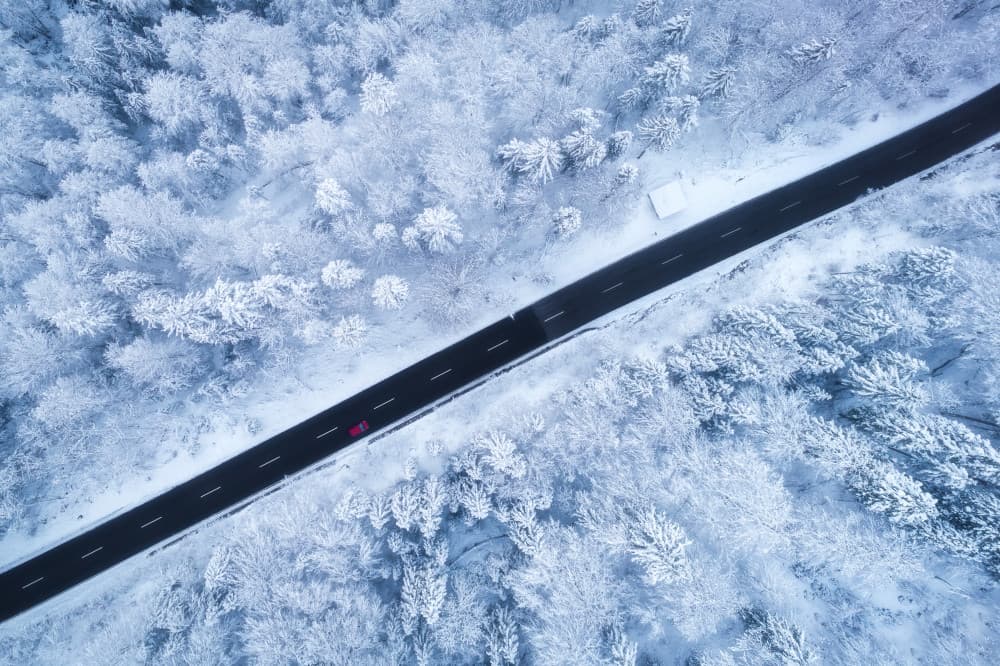 Snowy Forest Road by Daniel Gastager — canvas wall art