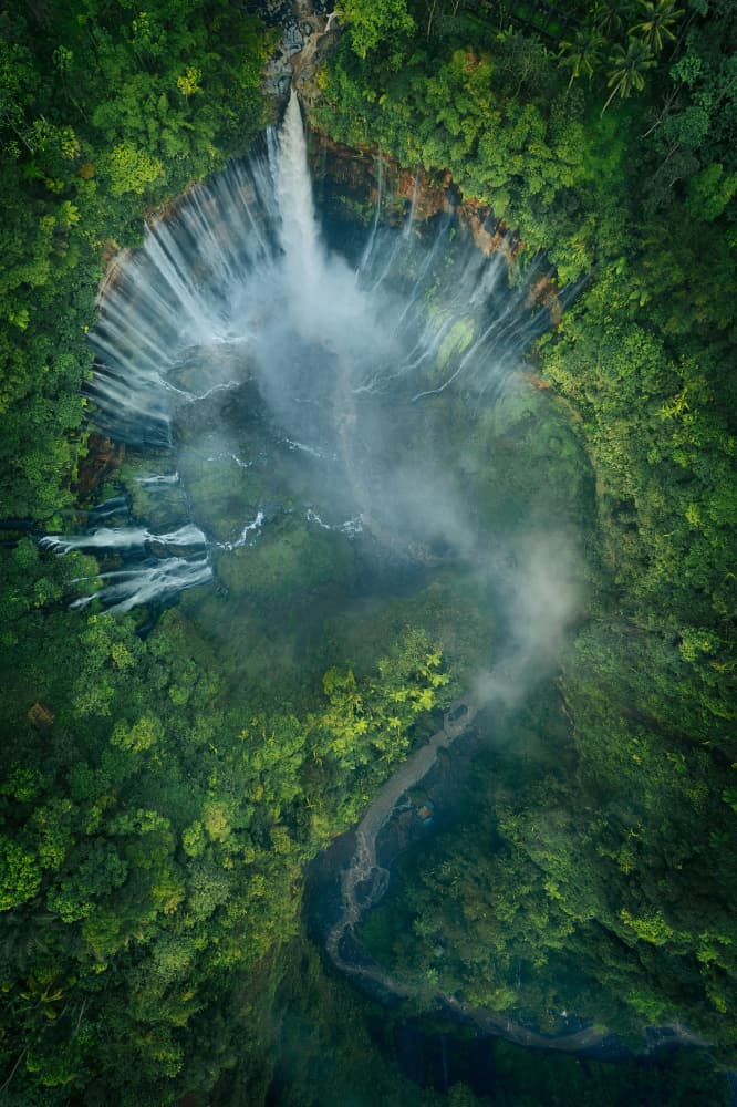 Majestic Jungle Falls by Javier de la Torre — canvas wall art