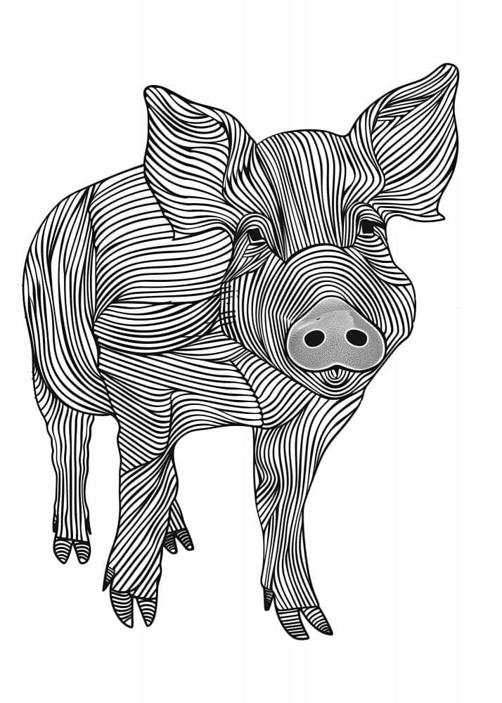 Contour Line Pig by Justyna Jaszke — canvas wall art