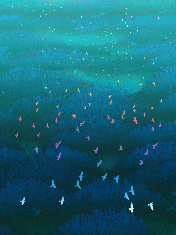 Magical Forest Night Birds by Angelo Cerantola — canvas wall art