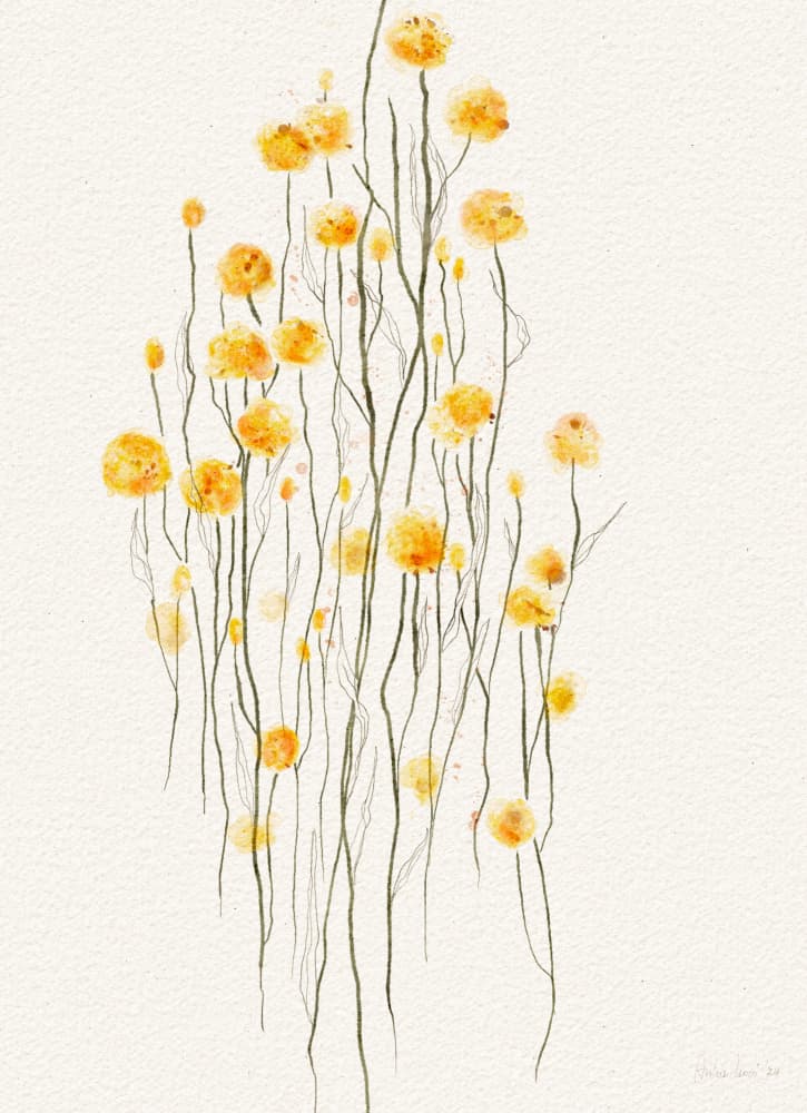 Delicate Yellow Blooms by Ankie Kooi — canvas wall art