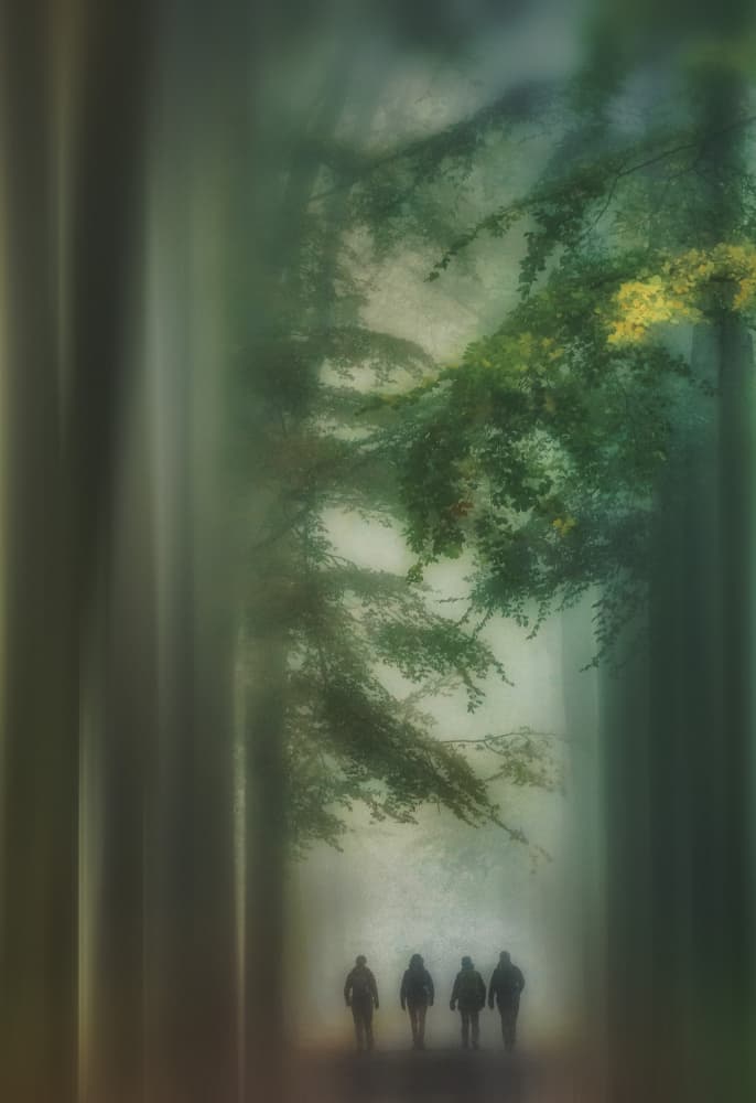 Misty Forest Walk by Hilda van der Lee — canvas wall art