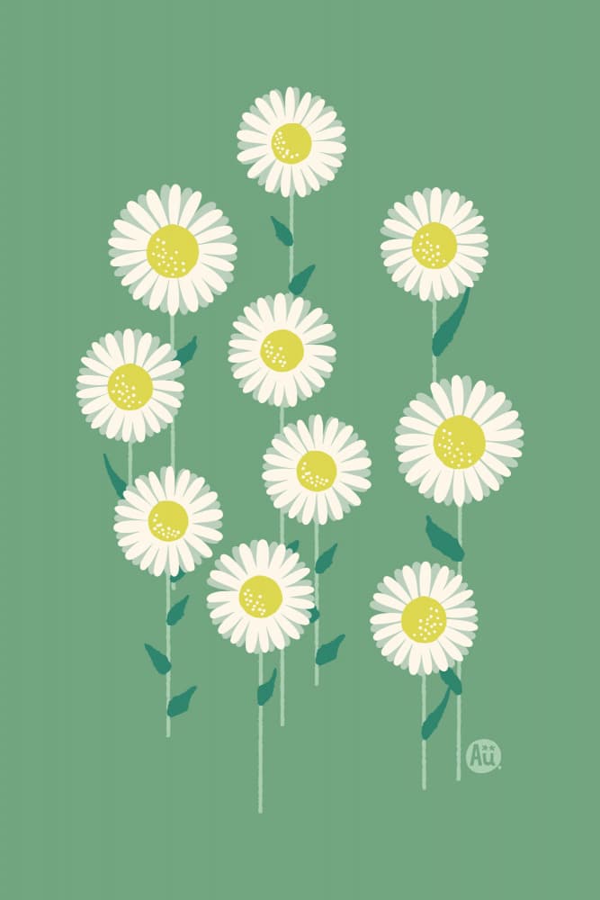Cheerful White Daisies by Aia Ueno — canvas wall art