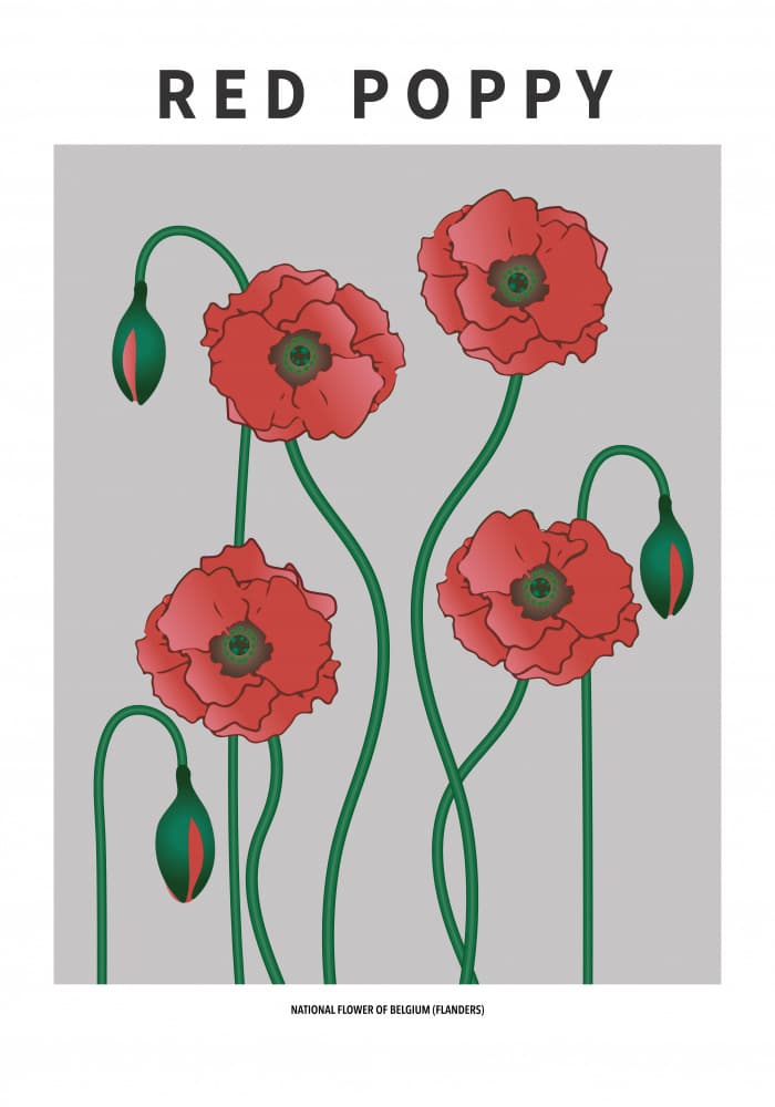 Red Poppy Floral by Paperago — canvas wall art