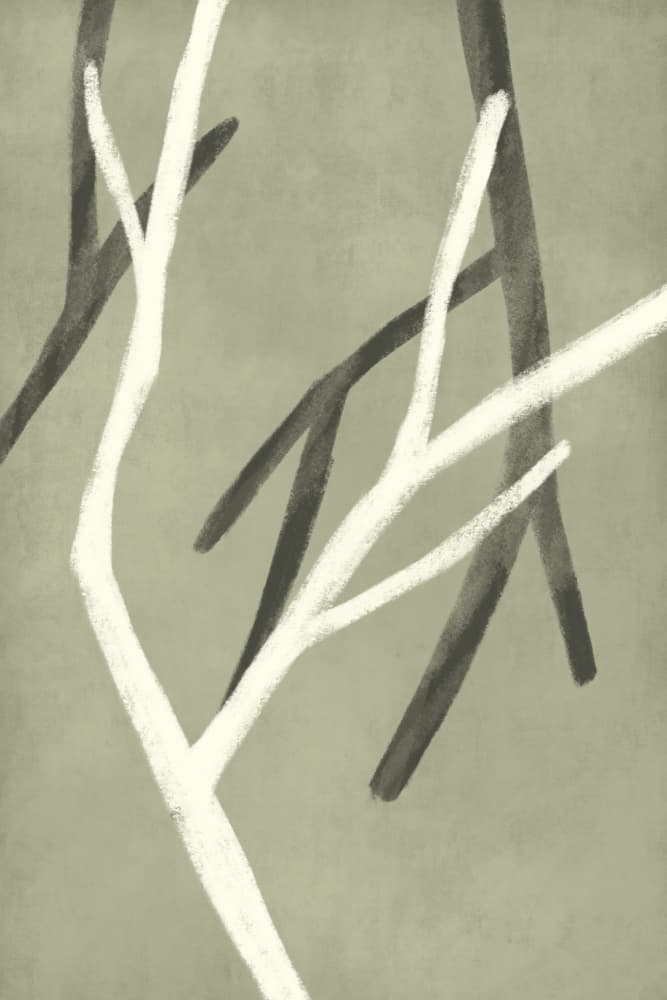 Contrasting Branches by Simona Gocan — canvas wall art