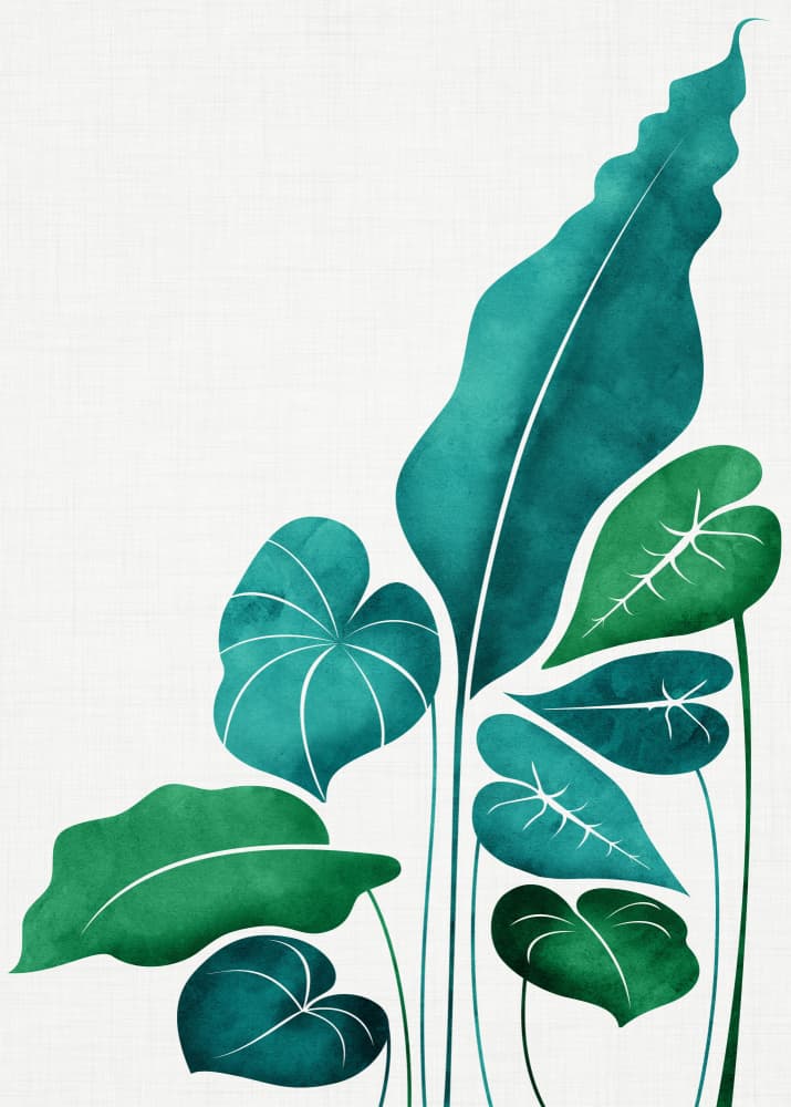 Cacaphony 1.png by Kristian Gallagher — canvas wall art