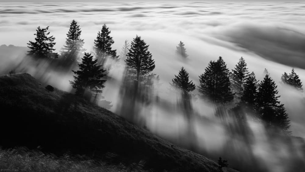 Misty Forest Light by Johnny Zhang — canvas wall art