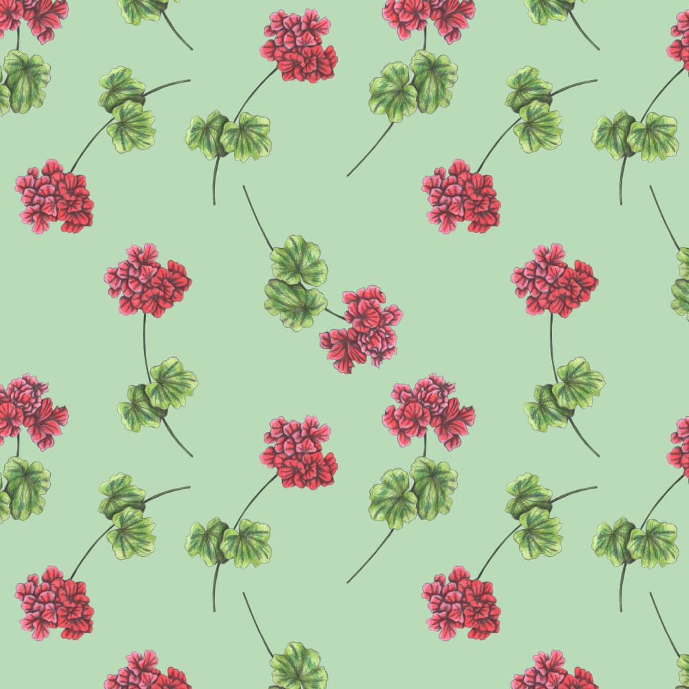 Red Geranium Pattern by Cecilia Battaini — canvas wall art
