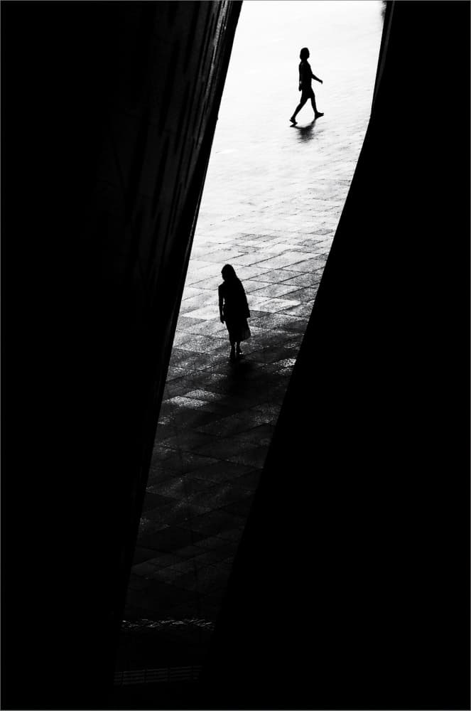 Silhouettes in Light and Shadow by Parole Kim — canvas wall art