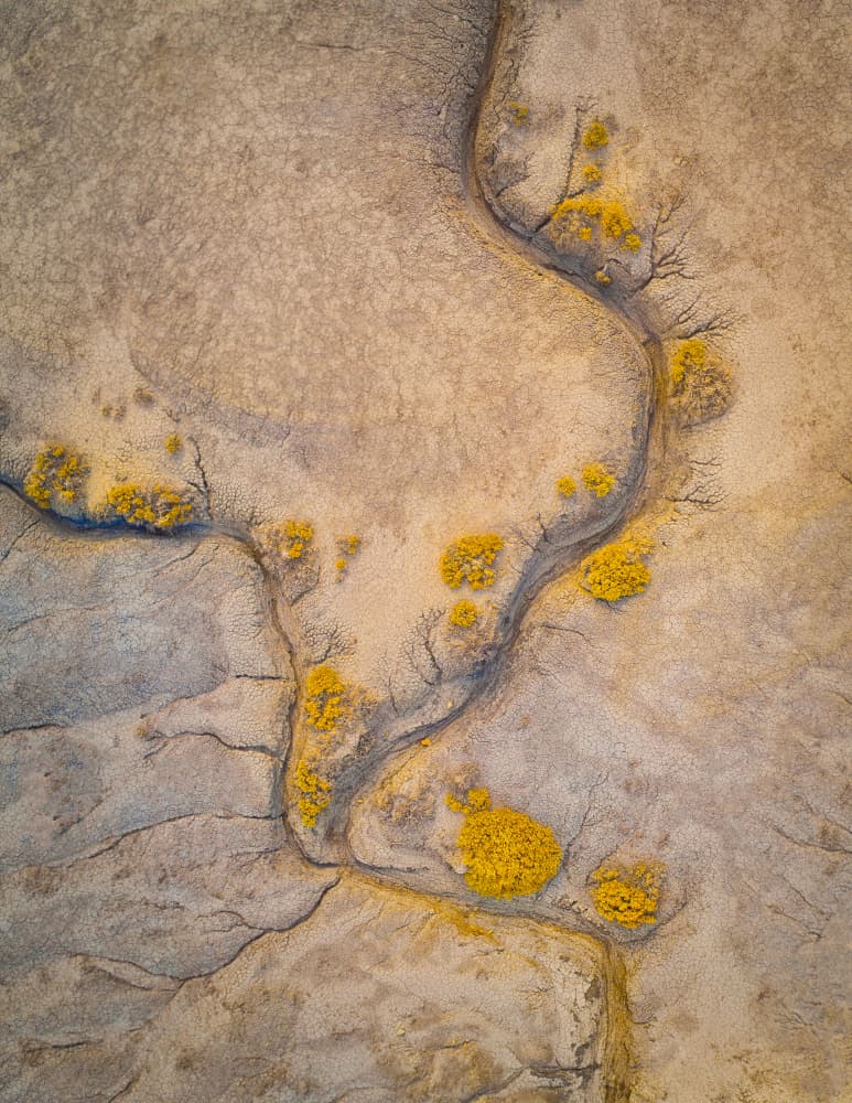Winding Desert Gold by Michael Zheng — canvas wall art