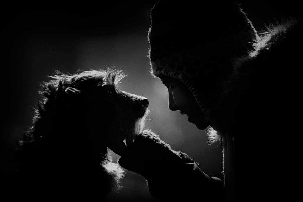 Dog and Human Bond by Antonio Grambone — canvas wall art