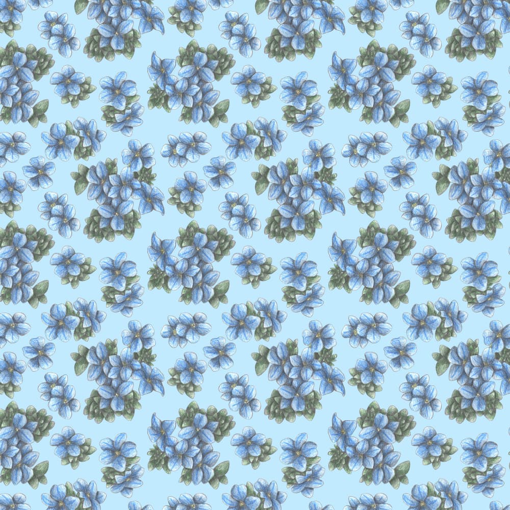 Delicate Blue Blooms by Cecilia Battaini — canvas wall art