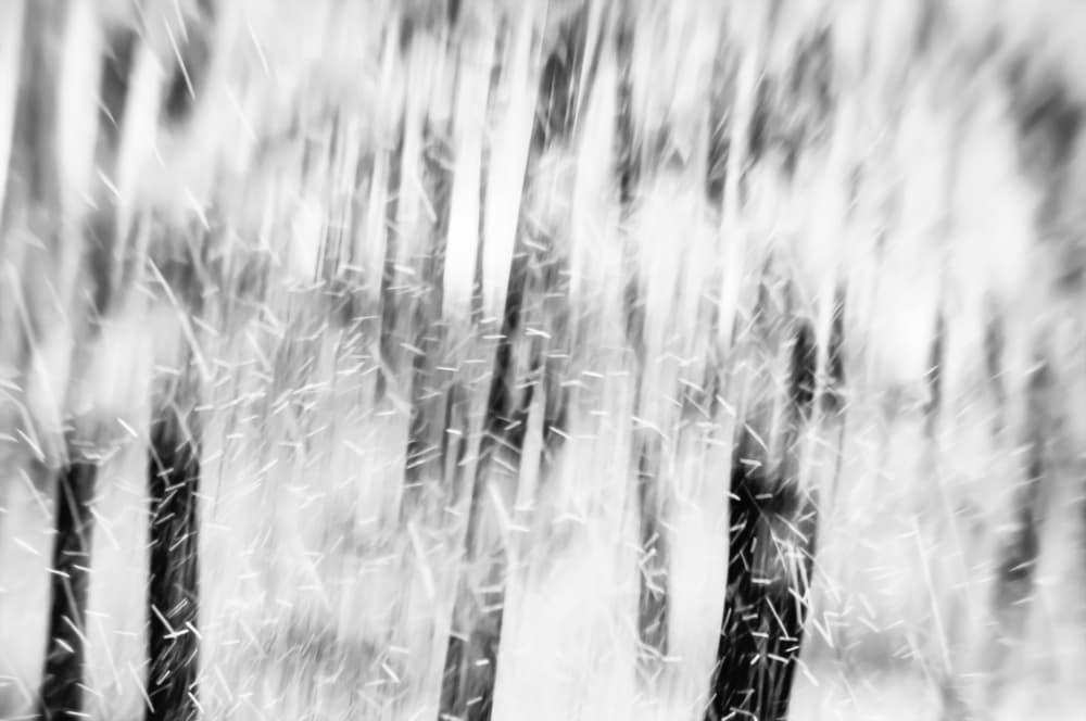 Abstract Snowfall Forest by Imaginative — canvas wall art