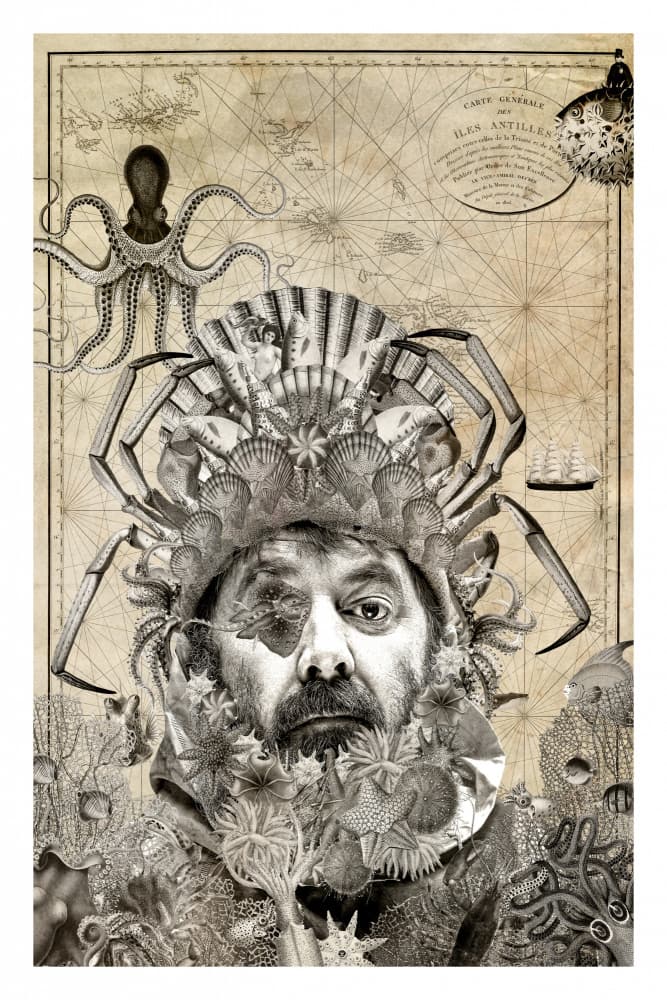 Ocean King Navigator by Simon Goggin — canvas wall art