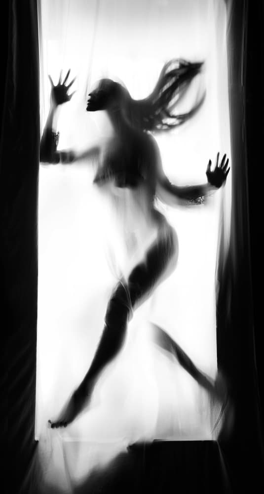 Ethereal Dancing Silhouette by Sebastian Kisworo — canvas wall art