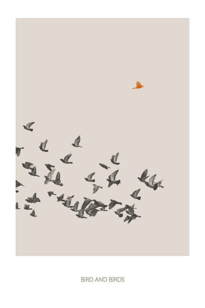 Orange Bird Stands Apart by Sarah Bühler — canvas wall art