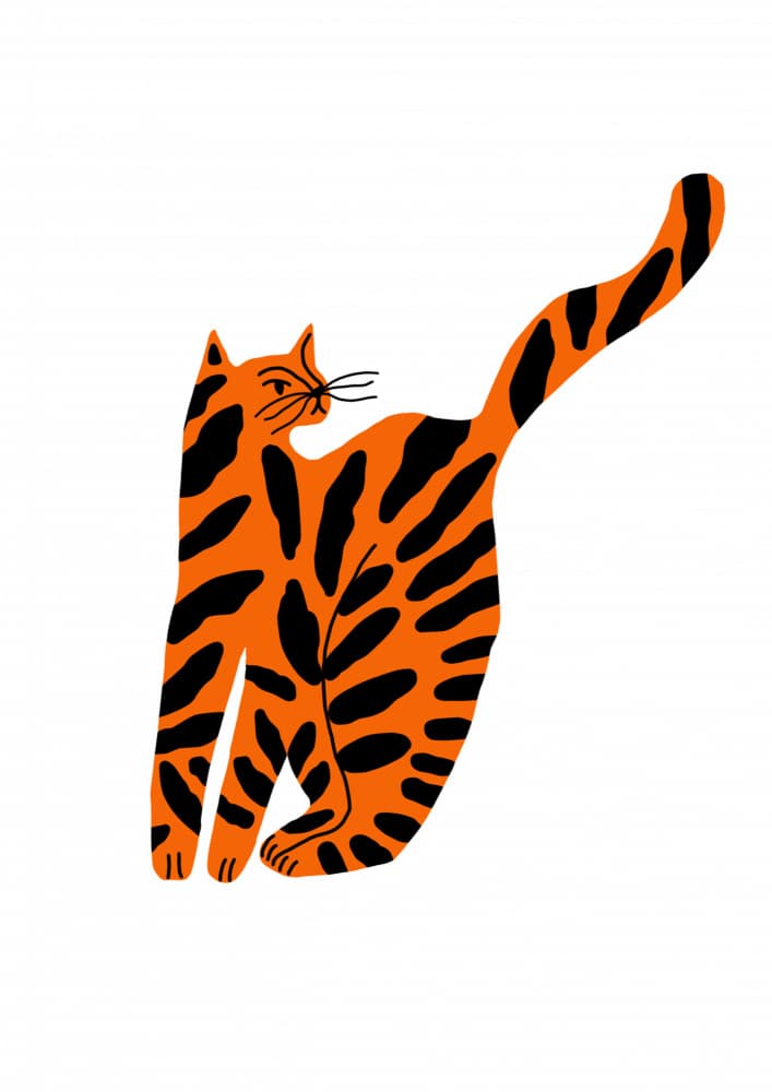 Tiger Cat by Rafaela Mascaro — canvas wall art