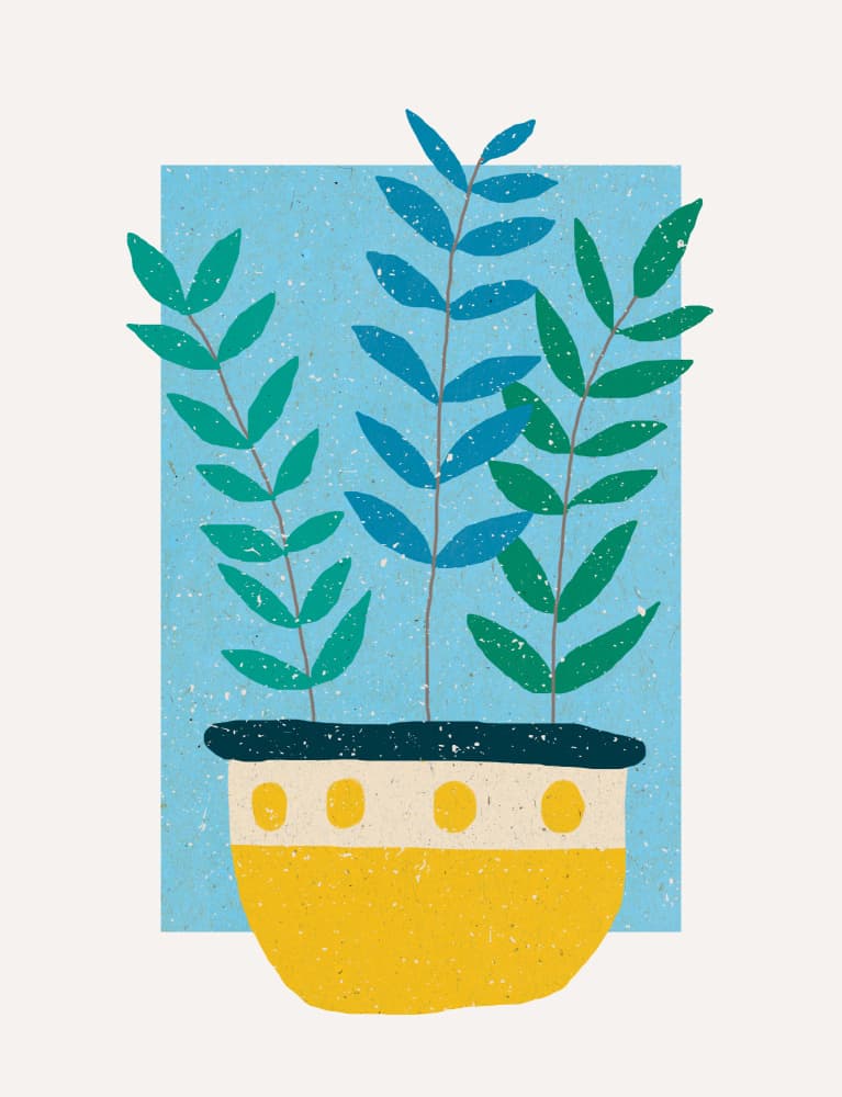 Vibrant Potted Plants by Aylin Demir — canvas wall art