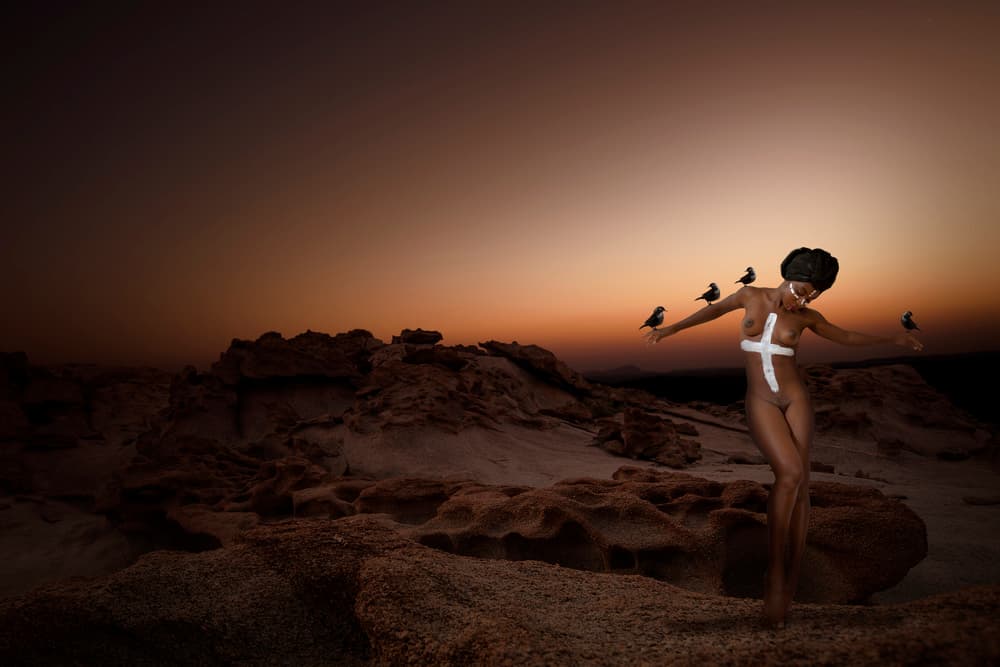 Nude Woman Desert Birds by Christine von Diepenbroek — canvas wall art