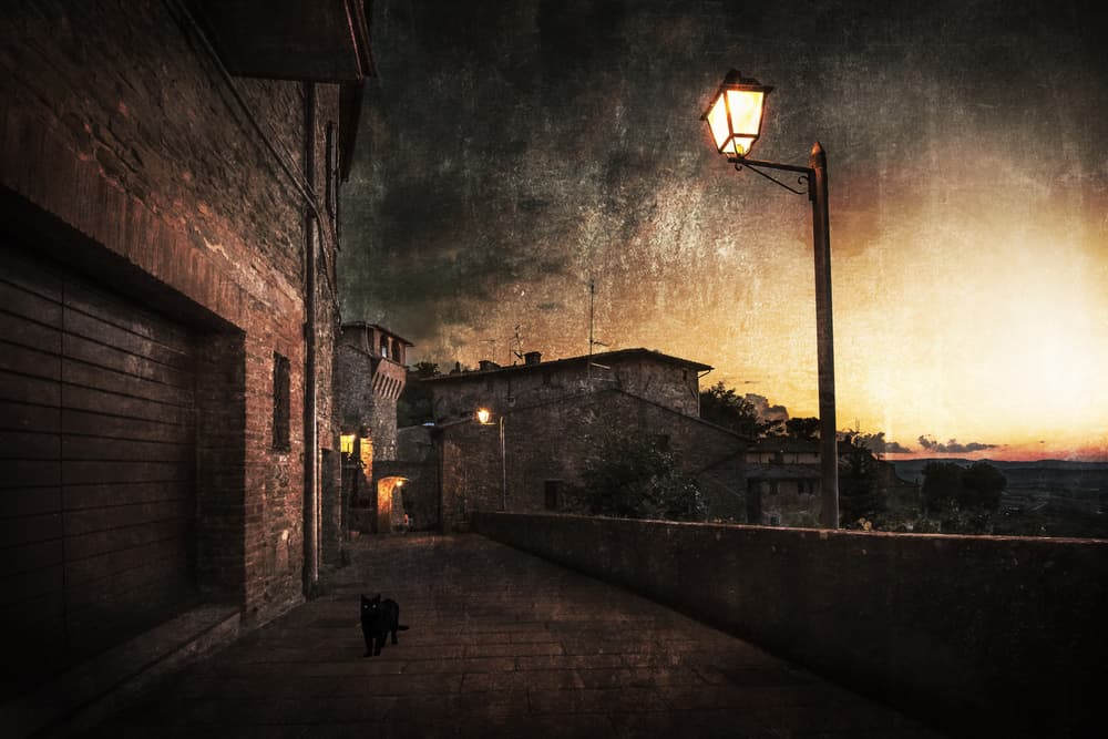 Old Town Sunset Cat by Nicodemo Quaglia — canvas wall art