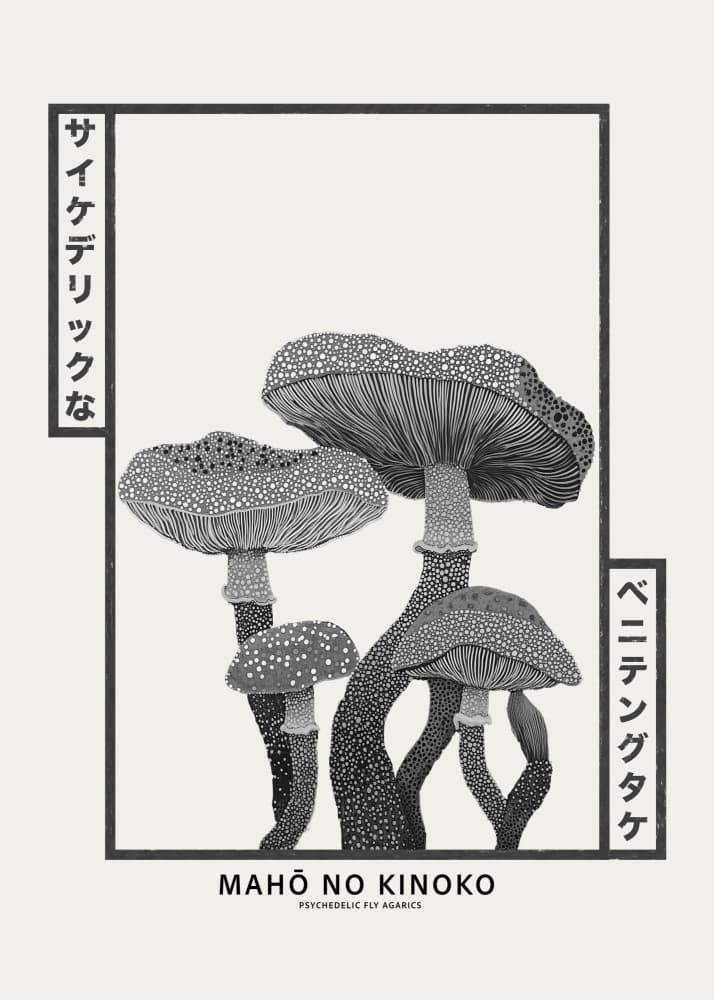 Psychedelic Fly Agarics by Pictufy Studio IV — canvas wall art