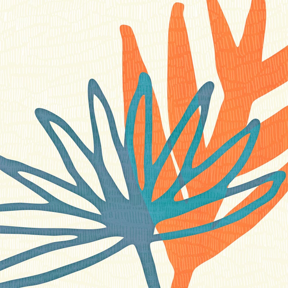 Mid Century Nature Print by Kristian Gallagher — canvas wall art