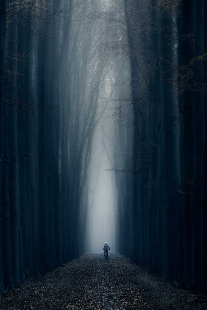 The way by Bingo Z — canvas wall art