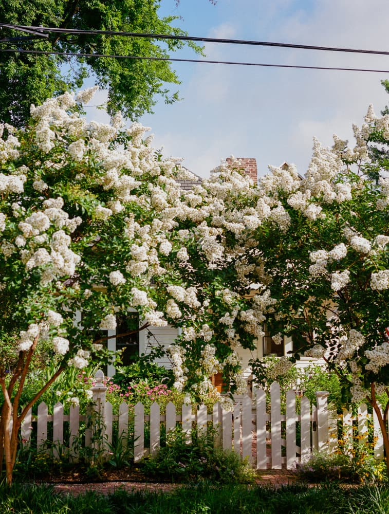 Charming White Blossom Home by Bethany Young — canvas wall art