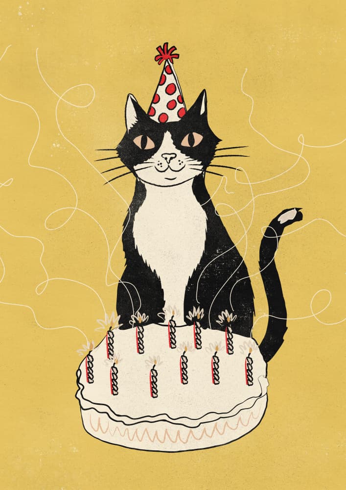 Festive Cat Birthday by Nicholas — canvas wall art