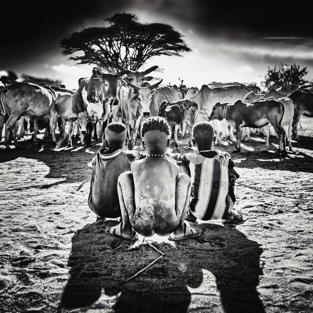 African Children Watching Cattle by Piet Flour — canvas wall art