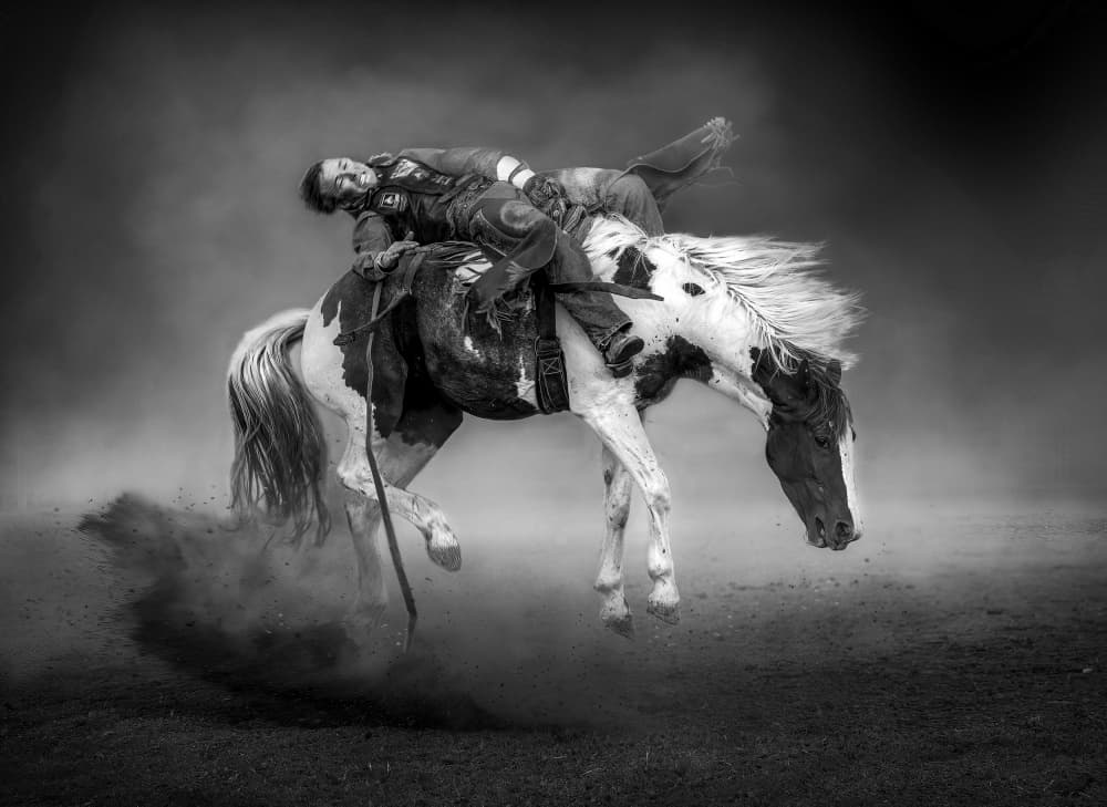 Cowboy's Wild Ride by Frank Ma — canvas wall art