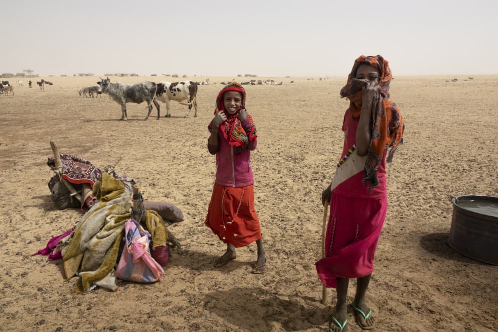 Nomadic Desert Children by Elena Molina — canvas wall art