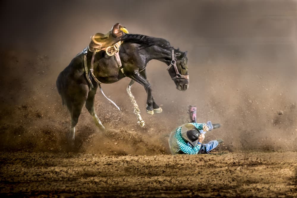 Bucking Bronco Cowboy Fall by Irene Wu — canvas wall art