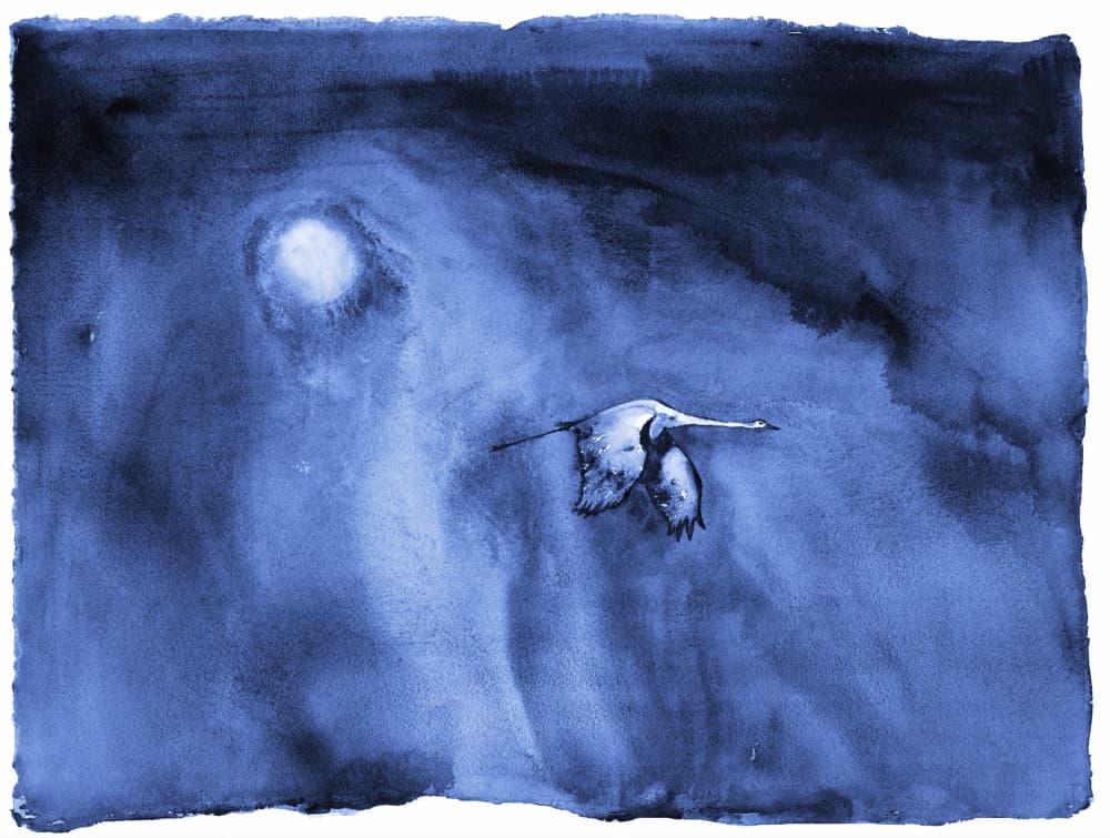Solo Migration Lumaprints by RodMacIver — canvas wall art