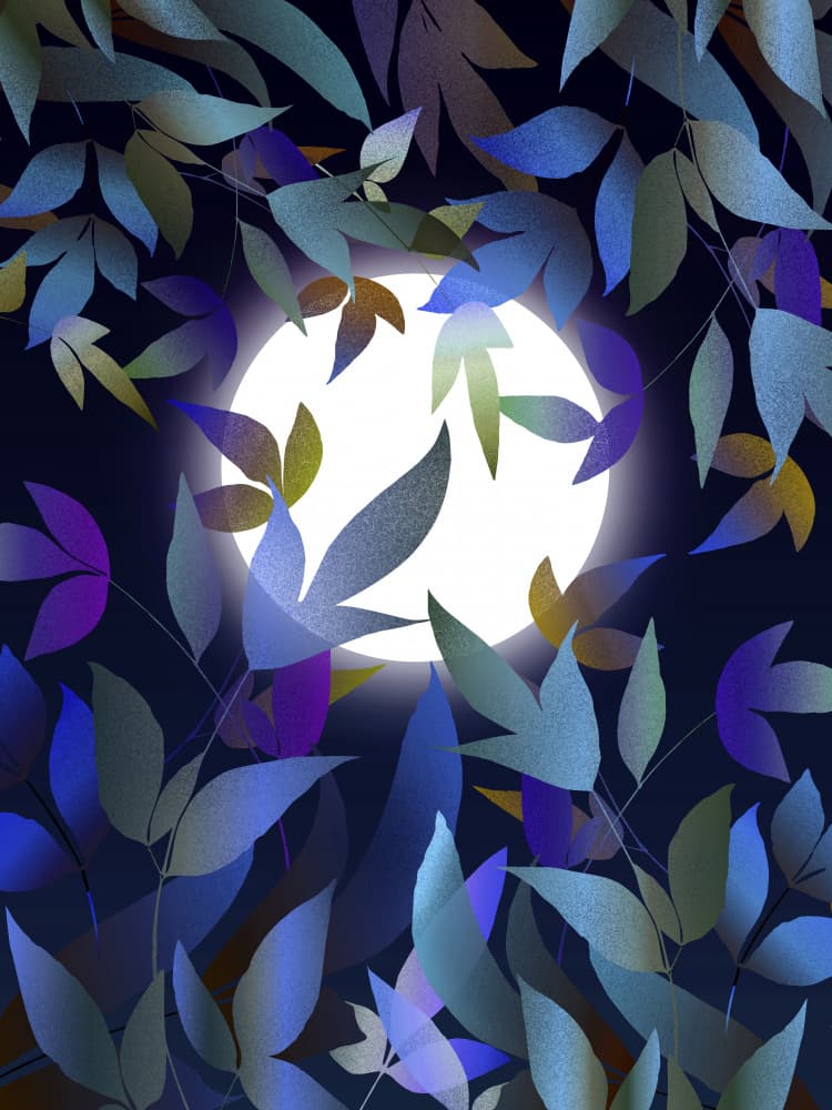 Moonlit Night Leaves by Angelo Cerantola — canvas wall art