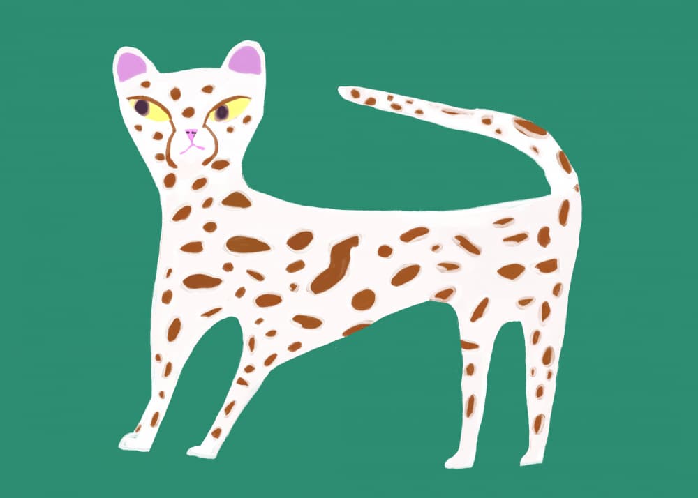 Modern Spotted Feline by Sharyn Bursic — canvas wall art