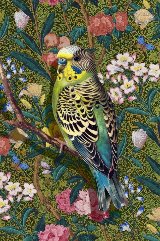 Vibrant Budgerigar Floral by Marja van den Hurk — canvas wall art
