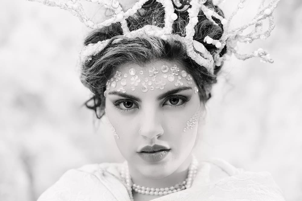 Ethereal Winter Beauty by Josefina Melo — canvas wall art