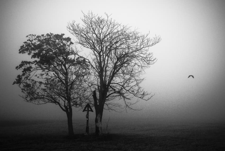 Foggy Trees Cross by Codrin Lupei — canvas wall art