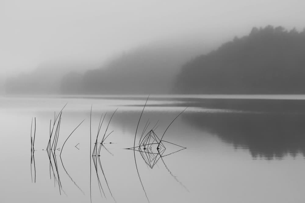 Misty Lake Reflection by Benny Pettersson — canvas wall art