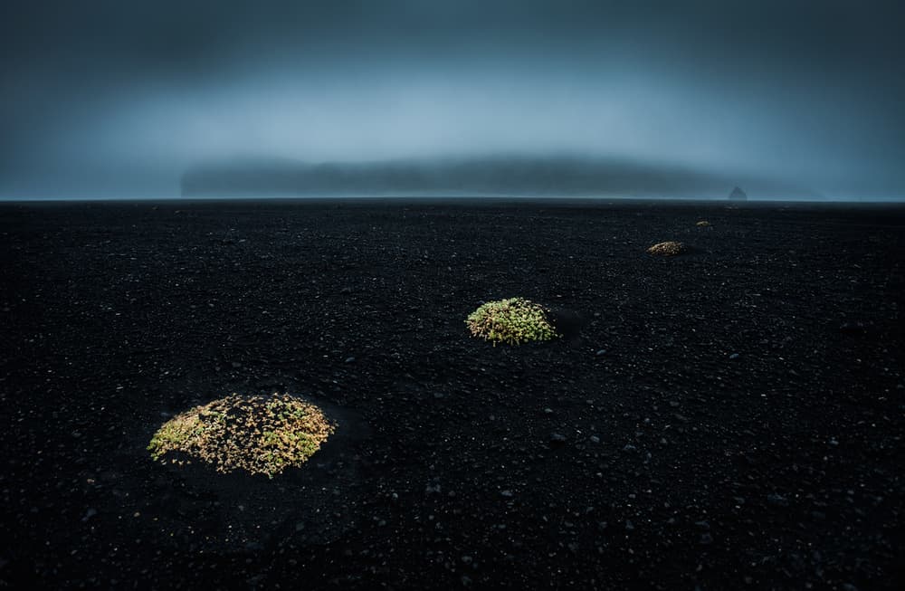 Misty Black Sand Landscape by Peter Svoboda MQEP — canvas wall art