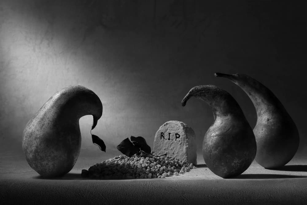 Grieving Pears Memorial by Victoria Glinka — canvas wall art