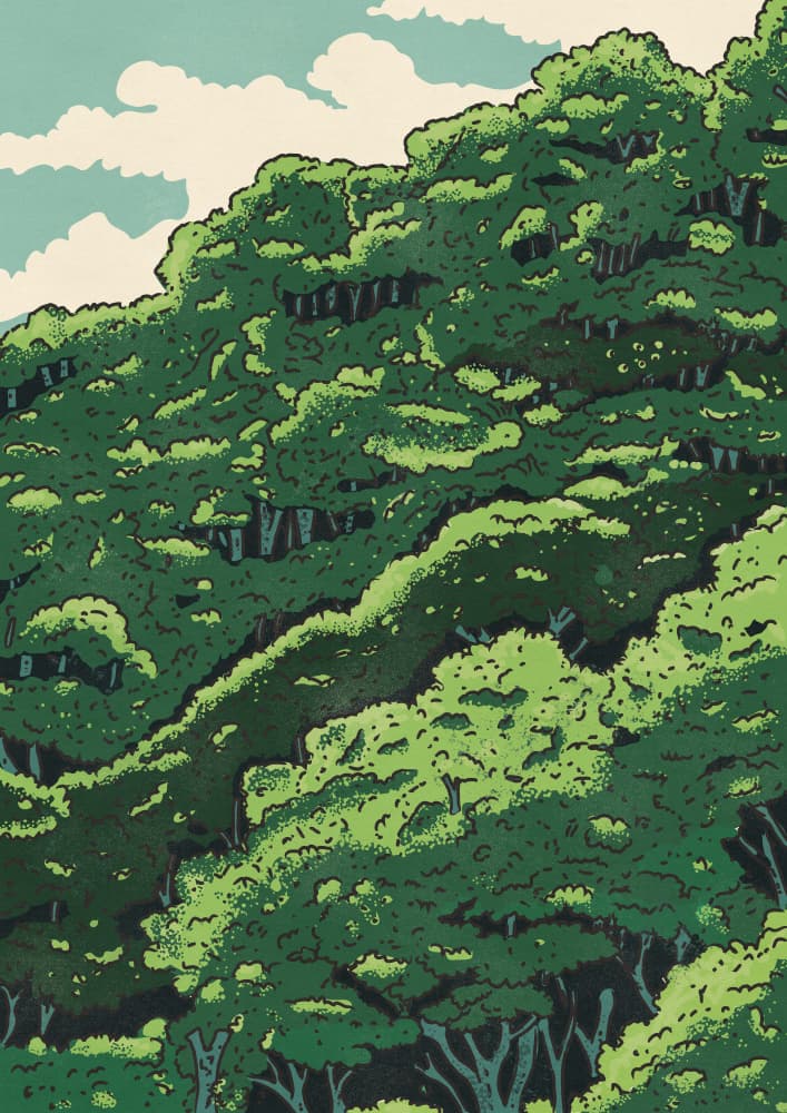 Lush Green Forest Canopy by Nicholas — canvas wall art