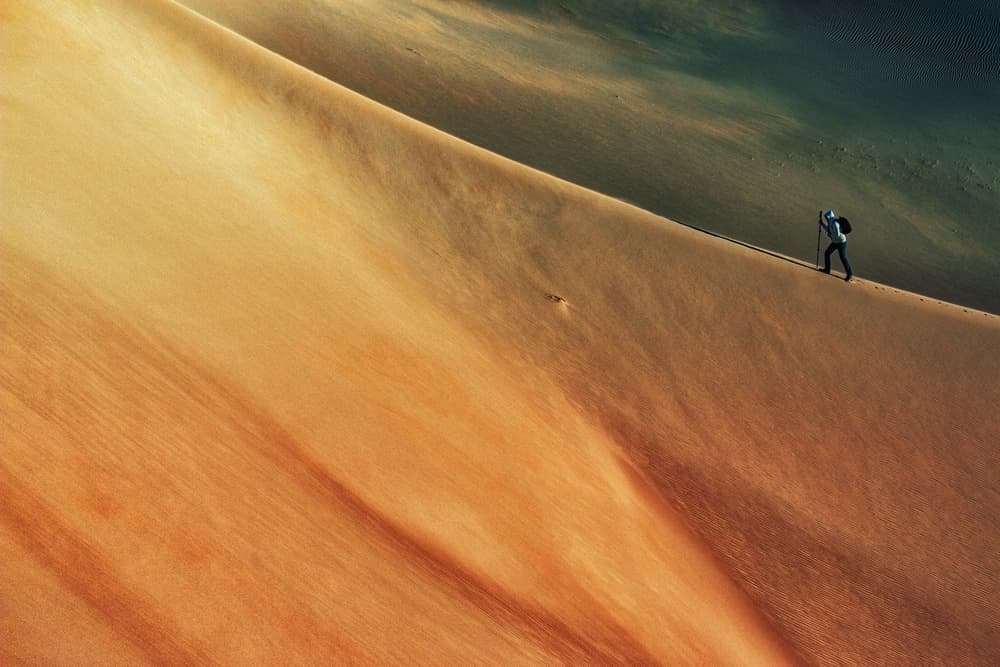 Solitary Dune Walk by Babak Mehrafshar — canvas wall art