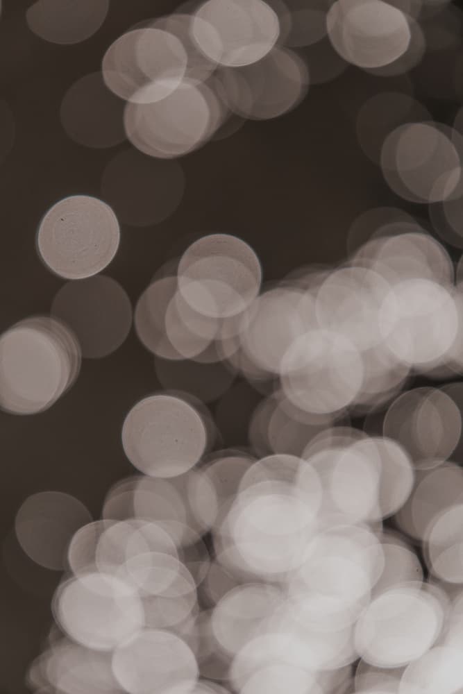 Dreamy Circles by Shot by Clint — canvas wall art