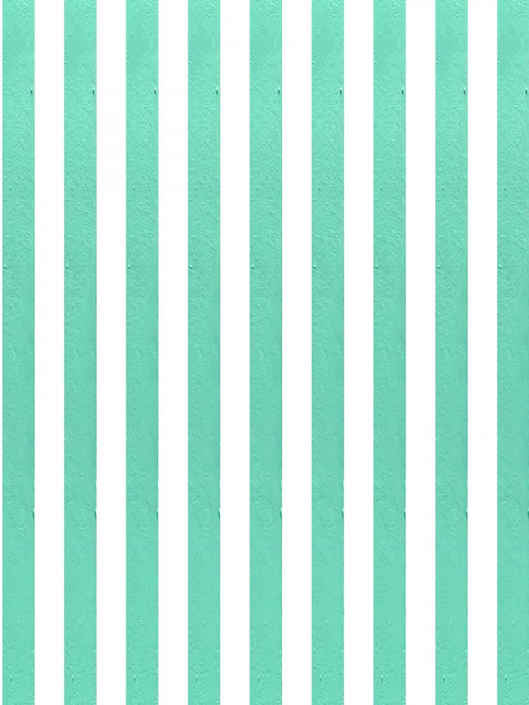 Fresh Mint Stripes by Elizabeth C — canvas wall art